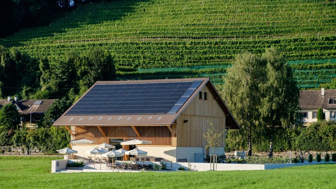 Referenzobjekt Photovoltaik Weingut Höcklistein