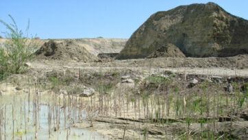 Une surface rudérale précieuse dans la carrière d'argile Carrière d'argile d'Istighofen