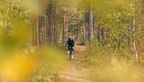 Imagefoto Fahrrad Wald