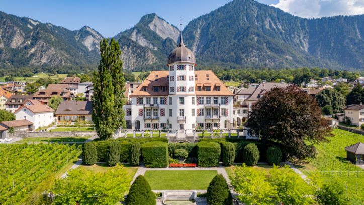 Referenzobjekt Dach Schloss Zizers 1 Referenzobjekt Dach Schloss Zizers 1